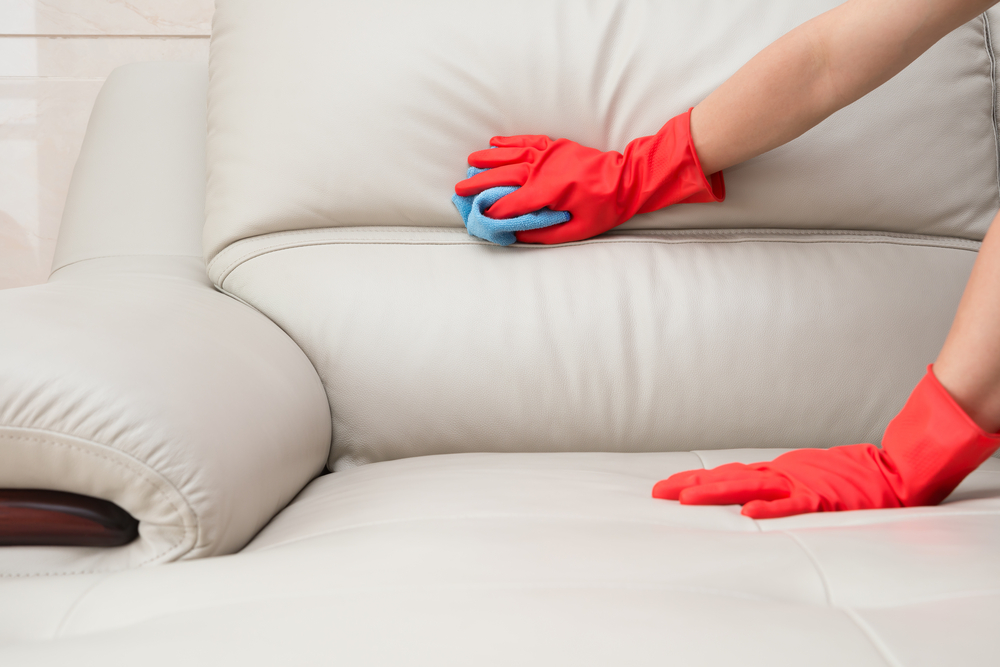 Upholstery Care: How to Maintain Your Sofa