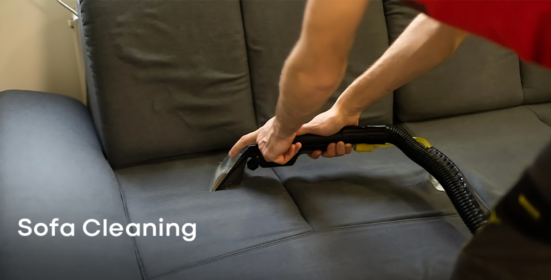 Professional Sofa Cleaning Services In