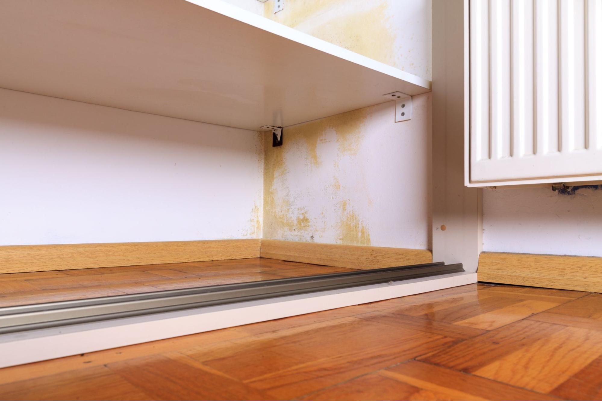 How to Prevent Mould in Your Wardrobe